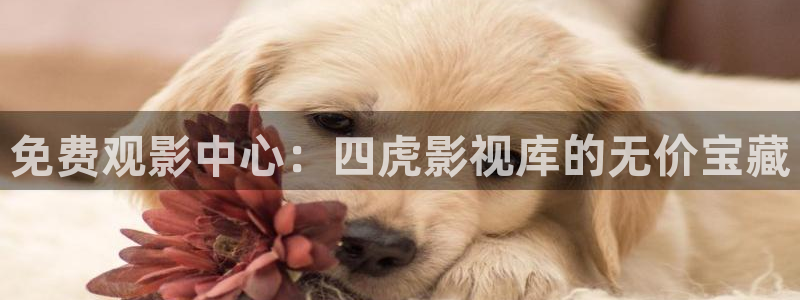 午夜在线伦理影院